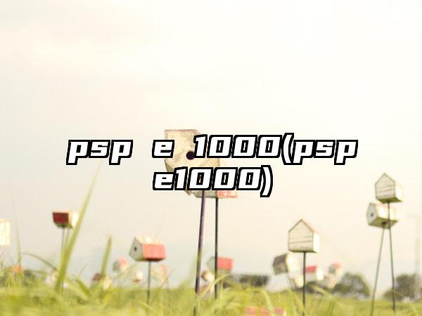 psp e 1000(pspe1000)