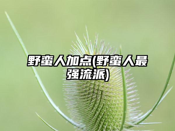 野蛮人加点(野蛮人最强流派)