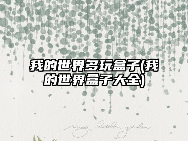 我的世界多玩盒子(我的世界盒子大全)