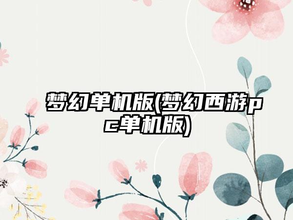 梦幻单机版(梦幻西游pc单机版)
