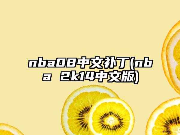 nba08中文补丁(nba 2k14中文版)