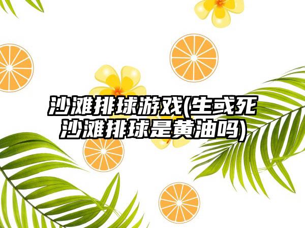 沙滩排球游戏(生或死沙滩排球是黄油吗)