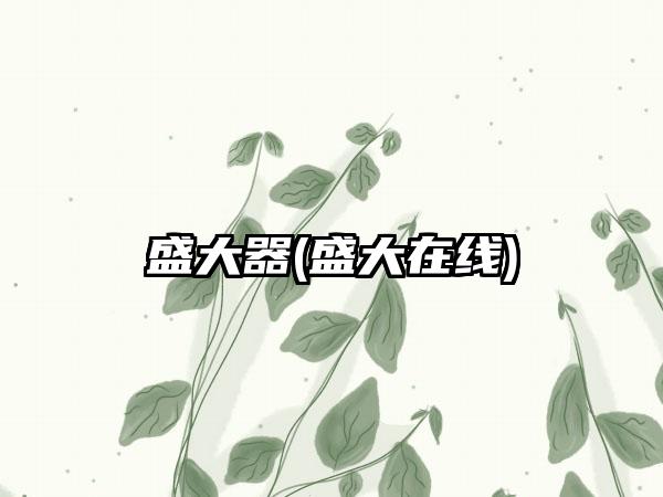 盛大器(盛大在线)