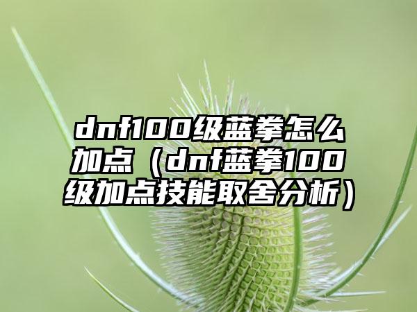 dnf100级蓝拳怎么加点（dnf蓝拳100级加点技能取舍分析）