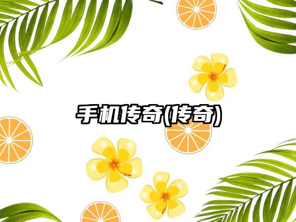 手机传奇(传奇)