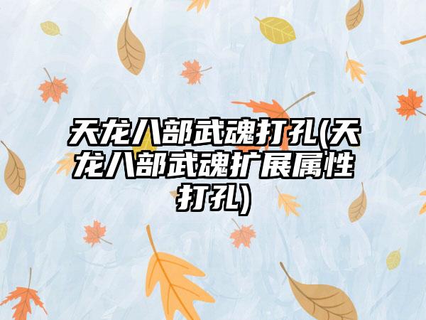 天龙八部武魂打孔(天龙八部武魂扩展属性打孔)