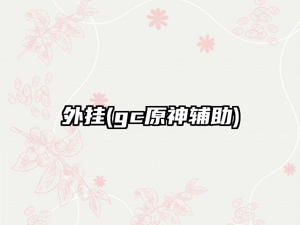 外挂(gc原神辅助)