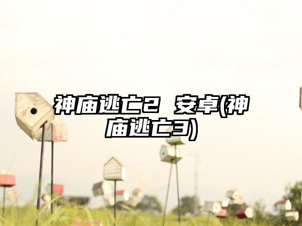 神庙逃亡2 安卓(神庙逃亡3)