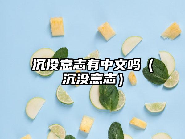 沉没意志有中文吗（沉没意志）