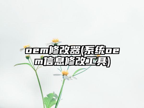 oem修改器(系统oem信息修改工具)