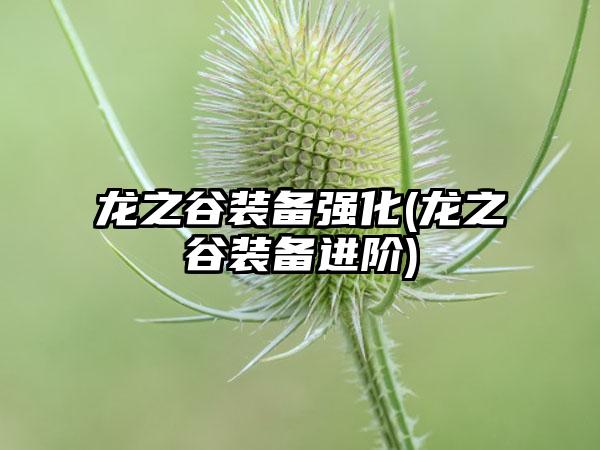 龙之谷装备强化(龙之谷装备进阶)