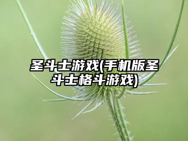圣斗士游戏(手机版圣斗士格斗游戏)