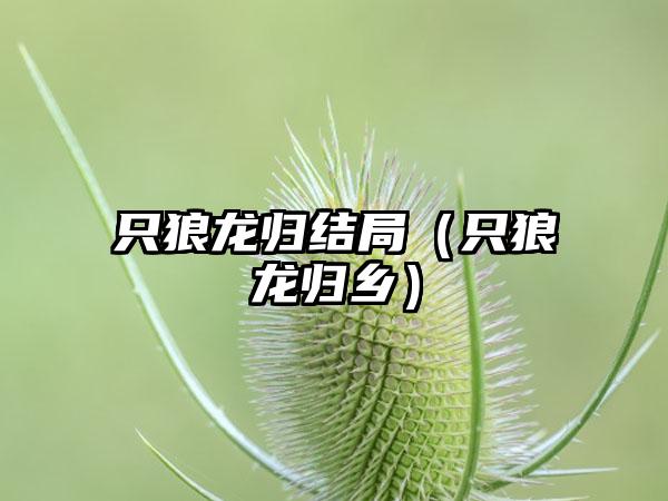 只狼龙归结局（只狼龙归乡）