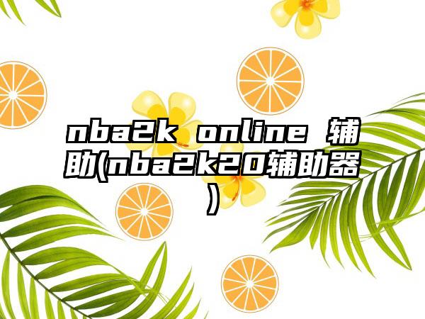 nba2k online 辅助(nba2k20辅助器)