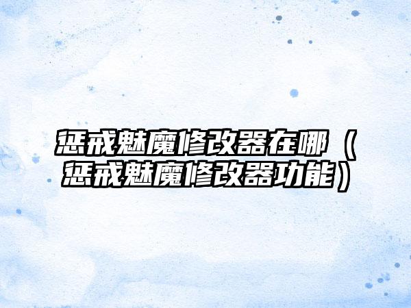 惩戒魅魔修改器在哪（惩戒魅魔修改器功能）