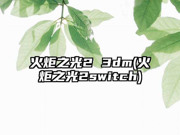 火炬之光2 3dm(火炬之光2switch)