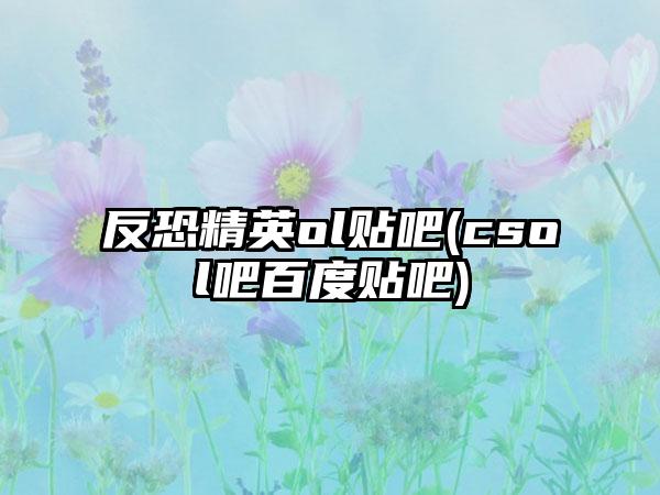 反恐精英ol贴吧(csol吧百度贴吧)