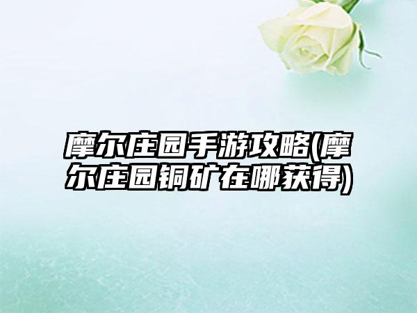摩尔庄园手游攻略(摩尔庄园铜矿在哪获得)
