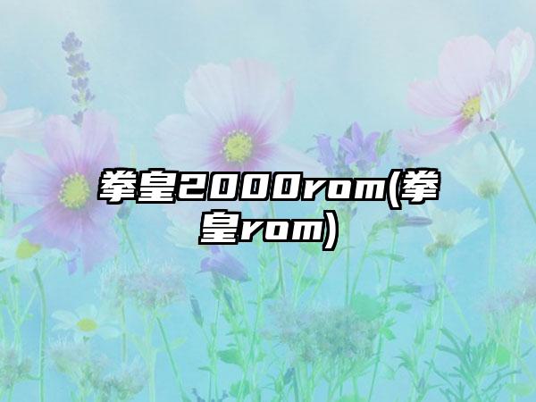 拳皇2000rom(拳皇rom)