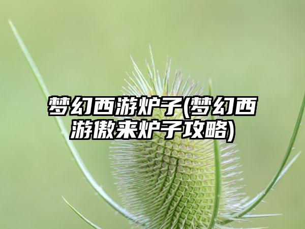 梦幻西游炉子(梦幻西游傲来炉子攻略)