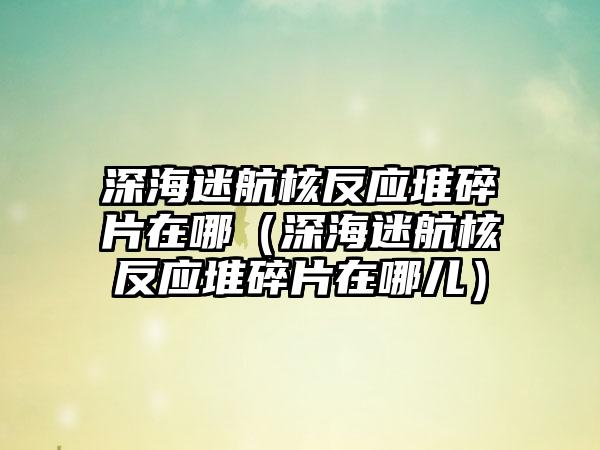 深海迷航核反应堆碎片在哪（深海迷航核反应堆碎片在哪儿）
