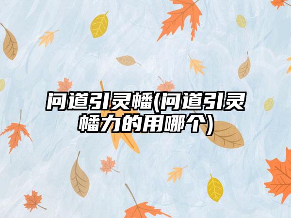 问道引灵幡(问道引灵幡力的用哪个)