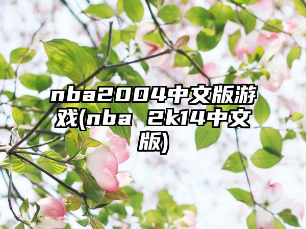 nba2004中文版游戏(nba 2k14中文版)