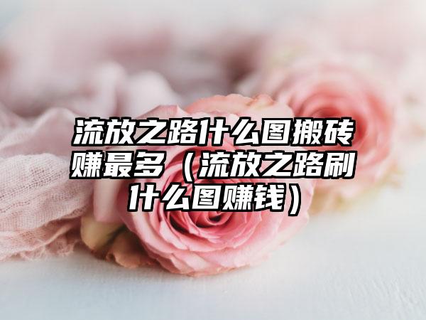 流放之路什么图搬砖赚最多（流放之路刷什么图赚钱）