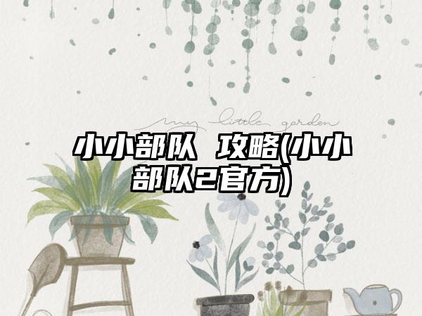 小小部队 攻略(小小部队2官方)