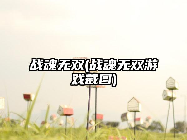 战魂无双(战魂无双游戏截图)