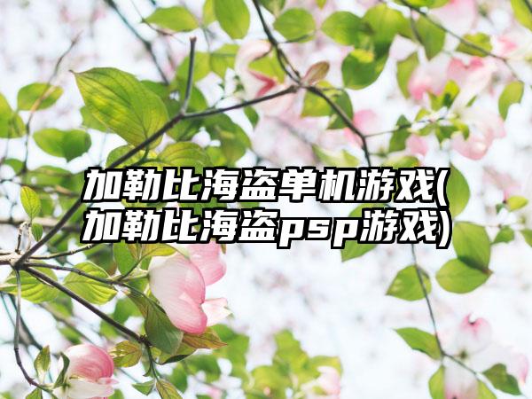 加勒比海盗单机游戏(加勒比海盗psp游戏)