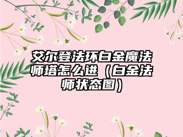 艾尔登法环白金魔法师塔怎么进（白金法师状态图）