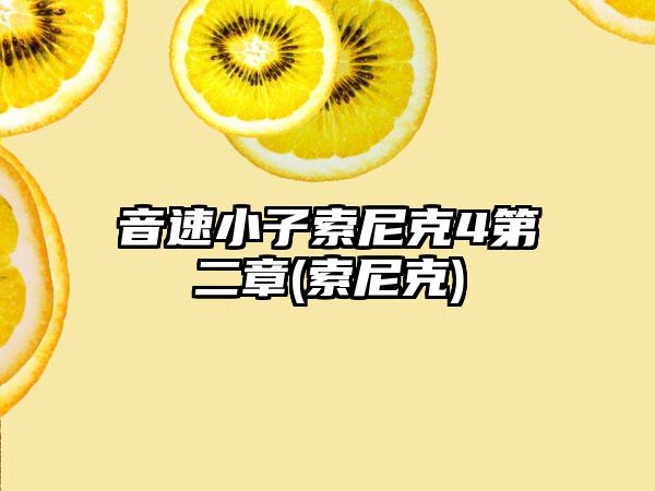 音速小子索尼克4第二章(索尼克)