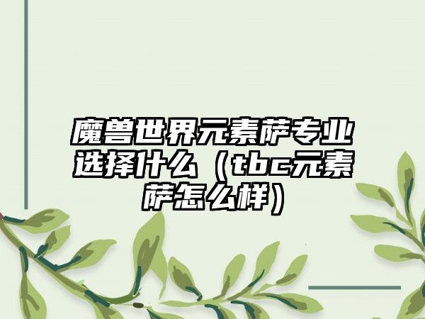 魔兽世界元素萨专业选择什么（tbc元素萨怎么样）