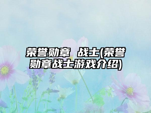荣誉勋章 战士(荣誉勋章战士游戏介绍)