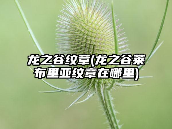 龙之谷纹章(龙之谷莱布里亚纹章在哪里)
