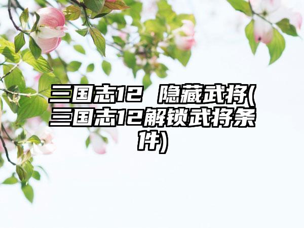 三国志12 隐藏武将(三国志12解锁武将条件)