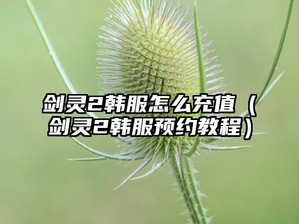 剑灵2韩服怎么充值（剑灵2韩服预约教程）