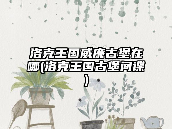 洛克王国威廉古堡在哪(洛克王国古堡间谍)