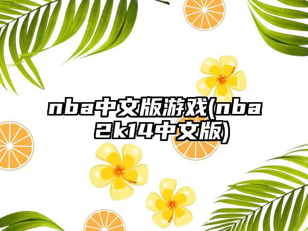 nba中文版游戏(nba 2k14中文版)