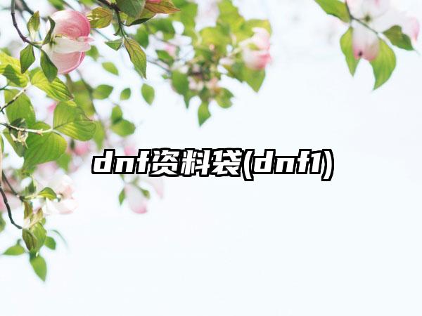dnf资料袋(dnf1)