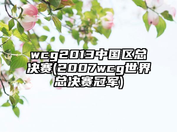 wcg2013中国区总决赛(2007wcg世界总决赛冠军)