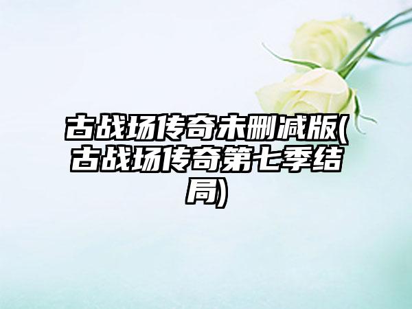 古战场传奇未删减版(古战场传奇第七季结局)