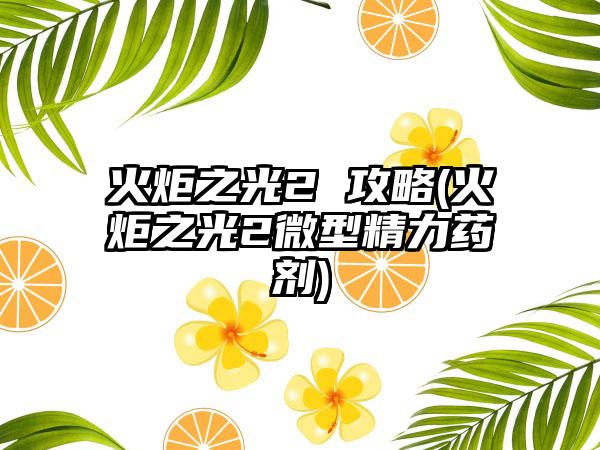 火炬之光2 攻略(火炬之光2微型精力药剂)