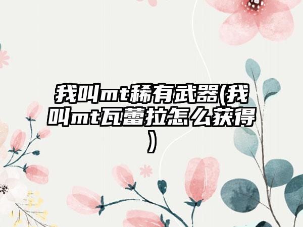 我叫mt稀有武器(我叫mt瓦蕾拉怎么获得)