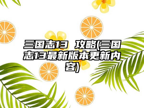 三国志13 攻略(三国志13最新版本更新内容)