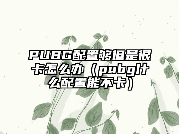 PUBG配置够但是很卡怎么办（pubg什么配置能不卡）