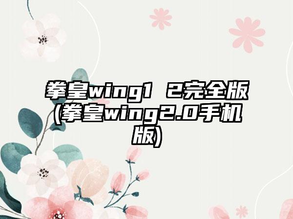 拳皇wing1 2完全版(拳皇wing2.0手机版)