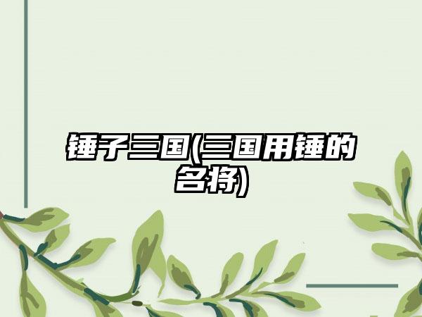 锤子三国(三国用锤的名将)