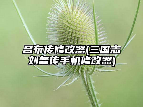 吕布传修改器(三国志刘备传手机修改器)